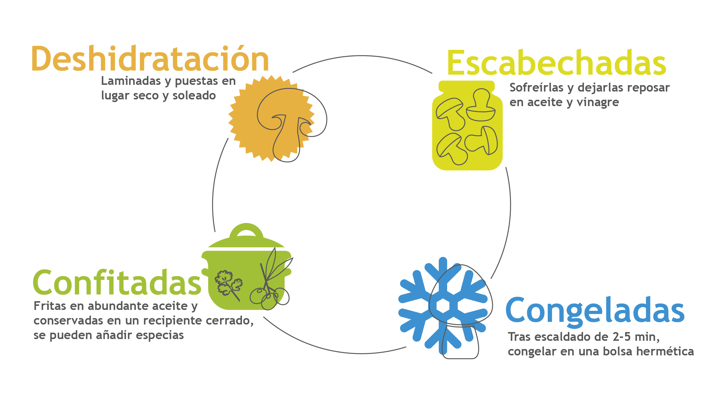 conservar setas